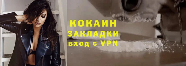 молекула духа Надым