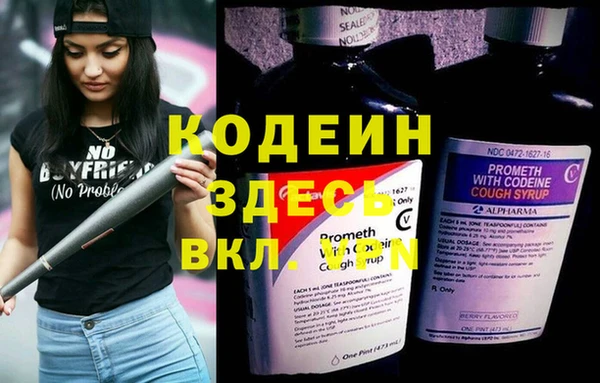 молекула духа Надым