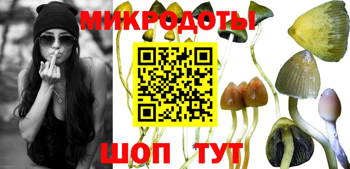 Галлюциногенные грибы Cubensis  Галлюциногенные грибы Psilocybine cubensis  Вход с VPN  Новороссийск 