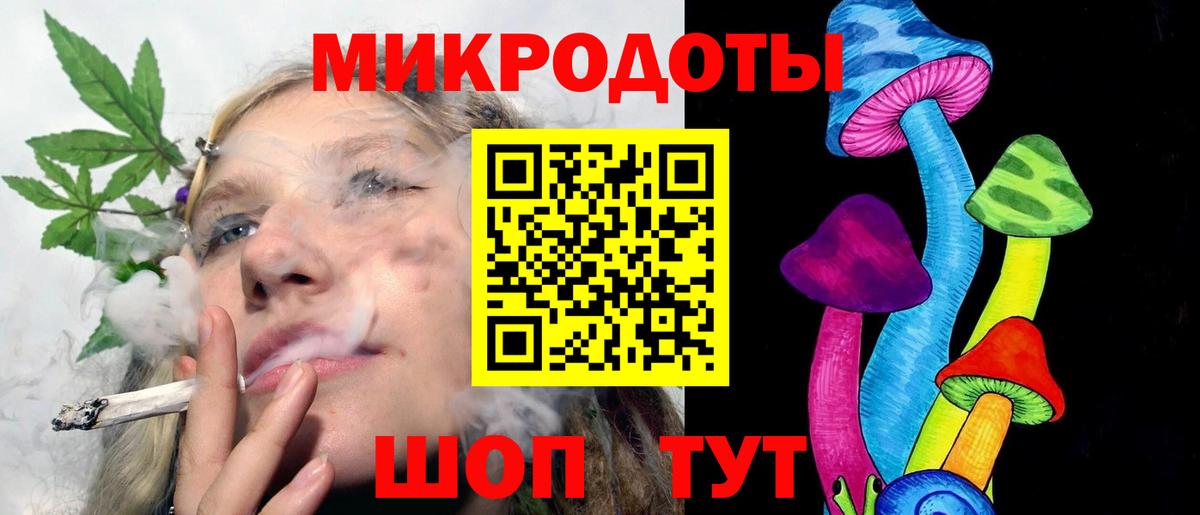 Галлюциногенные грибы Psilocybe Новороссийск